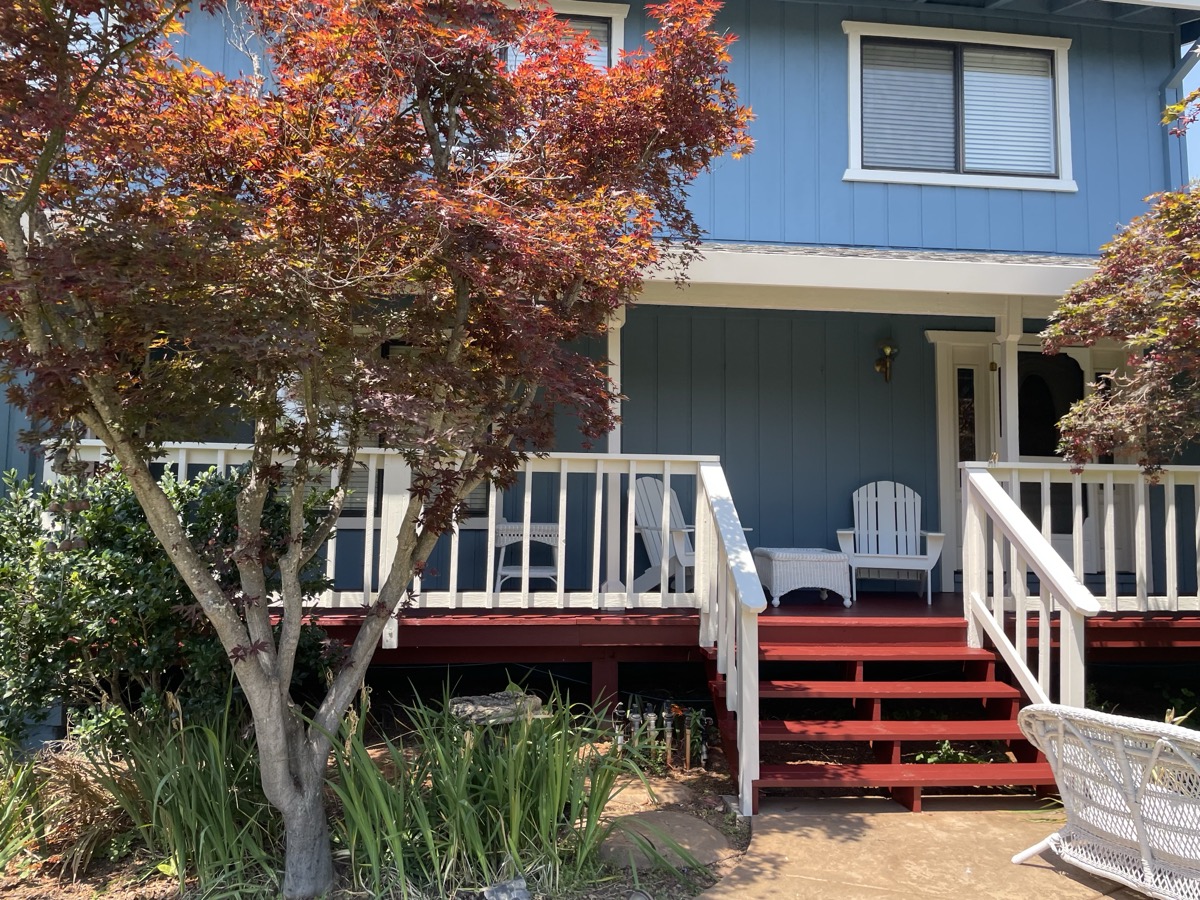 Painting project by Dry Diggings Painting