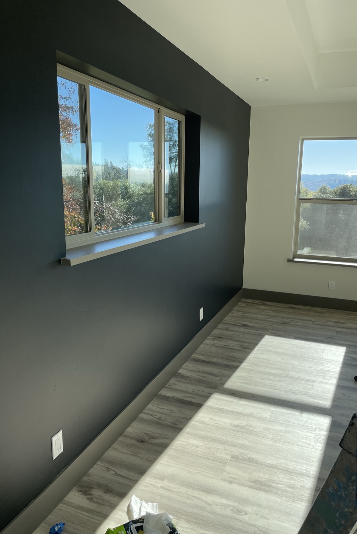 Painting project by Dry Diggings Painting